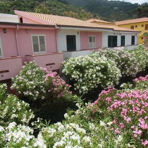 Hotel Calanovella Mare