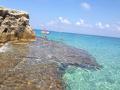Tropea