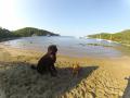 väčšia piesoč.pláž v dedine Saplunara-ranne šantenie na pláži so psami domáci Lui (čierny ) a naša Lejsy 