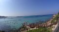 Fig tree bay