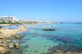 Fig tree bay