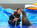 Marineland - Show