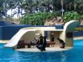 Loro Parque