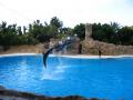 Loro Parque