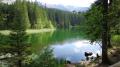 Vrbicke pleso